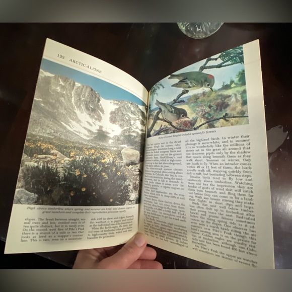 Vintage book Audubon Nature Encyclopedia 1964 for ephemera - Picture 2 of 8